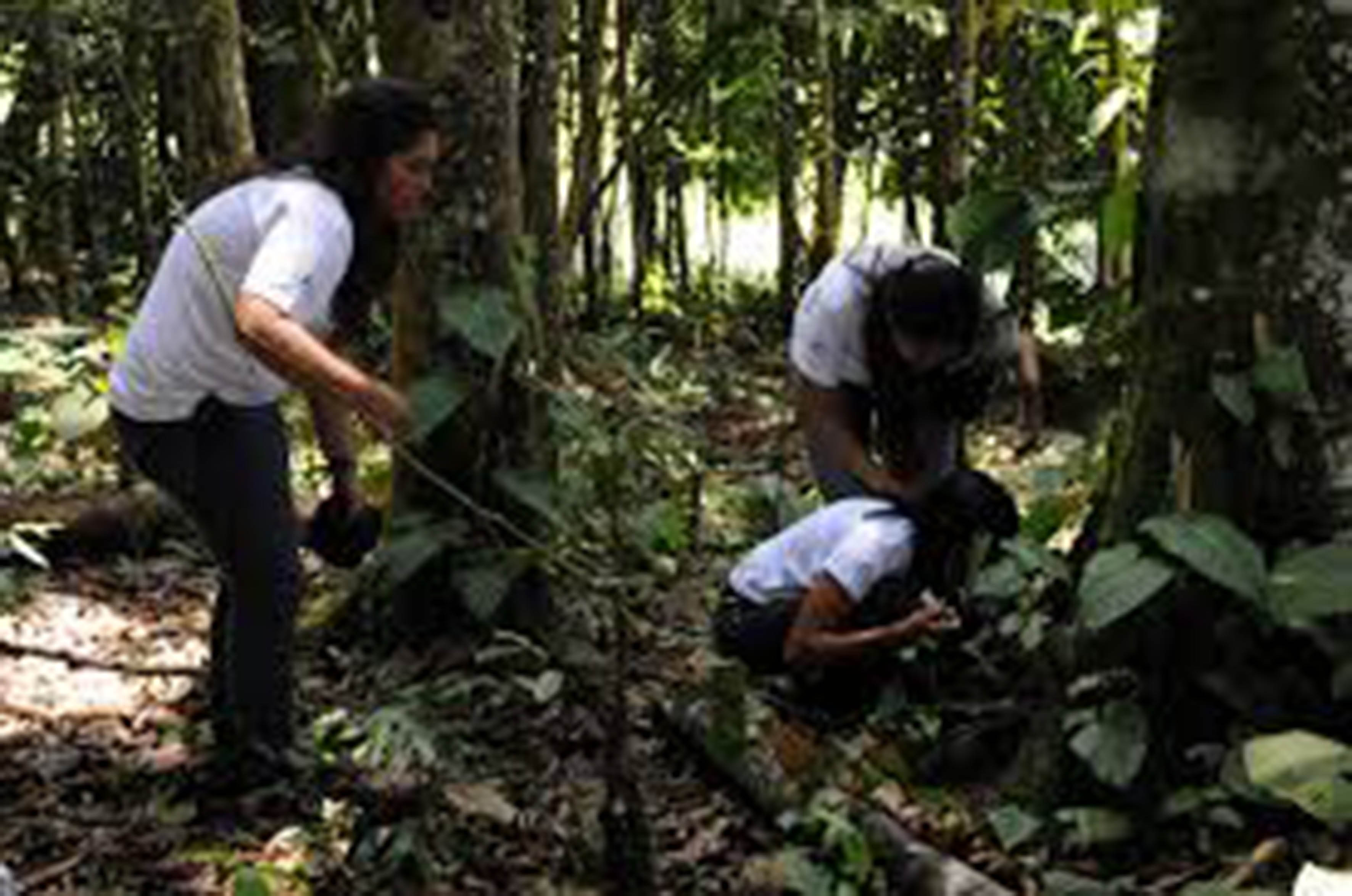 Biólogos, esenciales para garantizar la viabilidad de la especie humana  