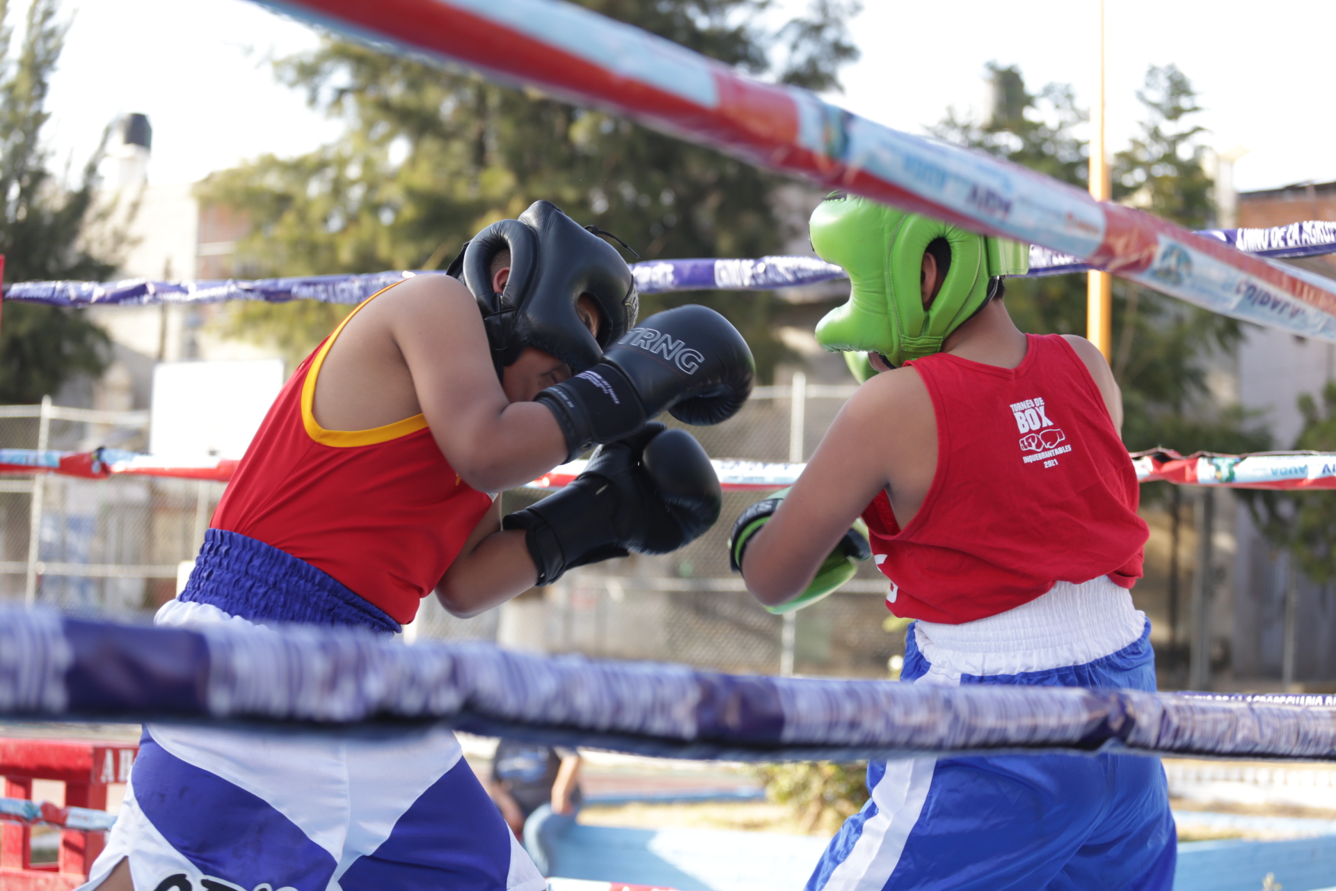 Convocan a integrar Comisión de Box, Lucha Libre y Artes Marciales Mixtas 2021-2024