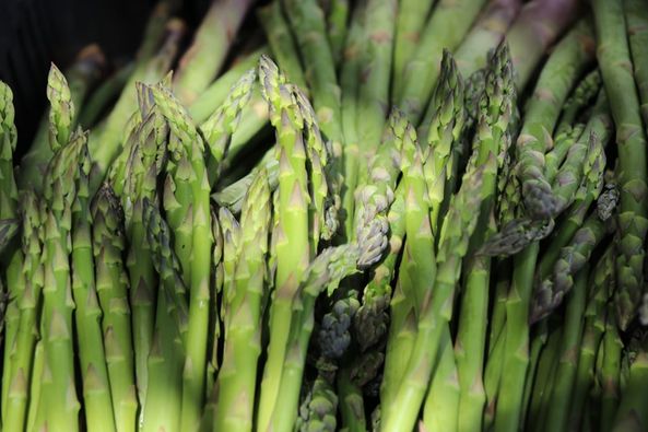 Aguascalientes fue productor de espárrago durante 2021