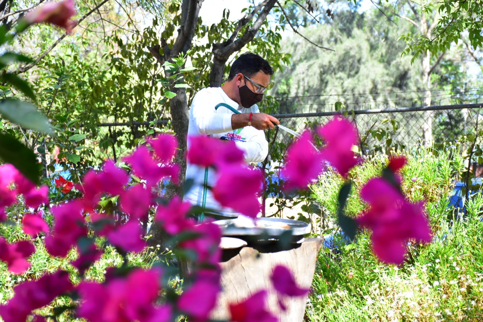Lanzan cursos en conmemoración por El Día Mundial de la Educación Ambiental
