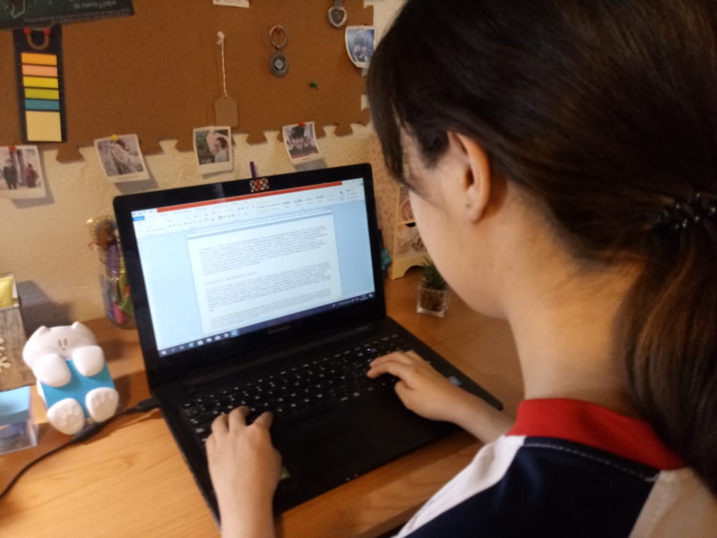 El modelo mixto garantiza la prestación del servicio educativo