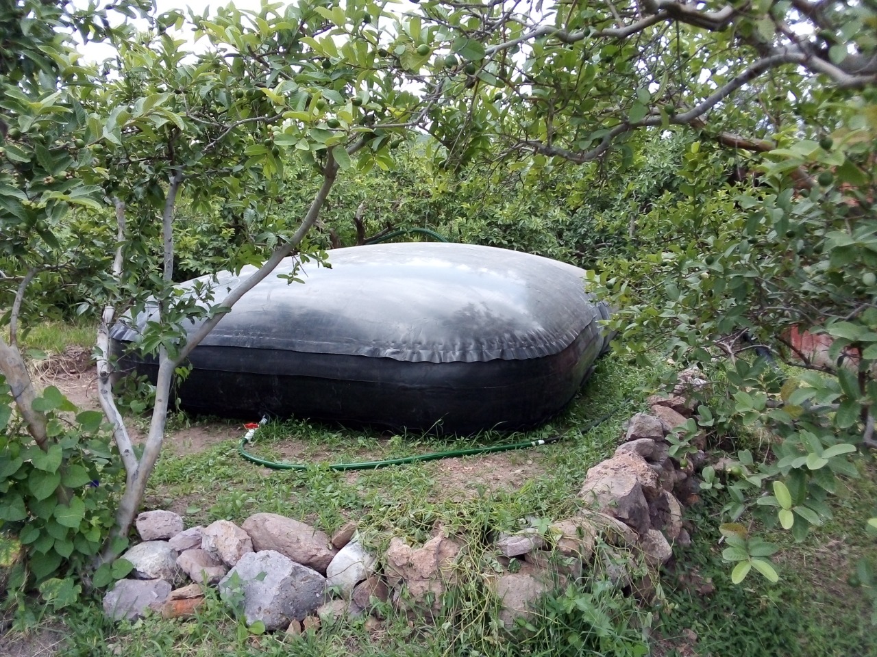 Apoyarán a productores rurales con bolsas para recolectar agua de lluvia