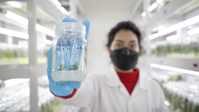 Incrementa el número de académicos de la UAA en el SNI de Conacyt