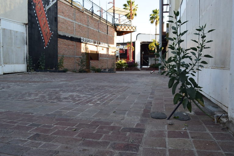 Así se ve la Feria de San Marcos después de dos años de abandono