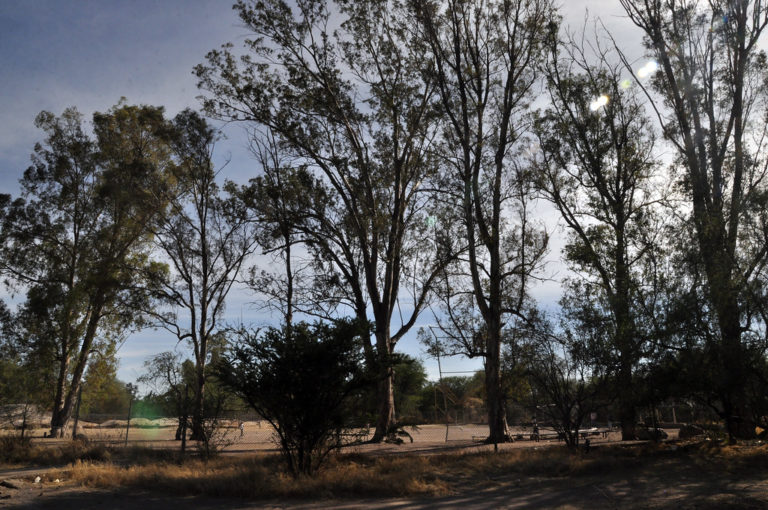 Se crea la Colectiva Salvemos La Pona en Aguascalientes