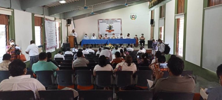 Lenguas indígenas de México están vivas y reconocidas como lenguas nacionales