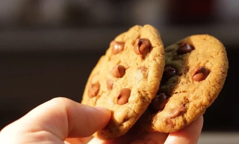 Confirman que niña de 2 años murió envenenada; investigan si comió galleta lanzada a su perro