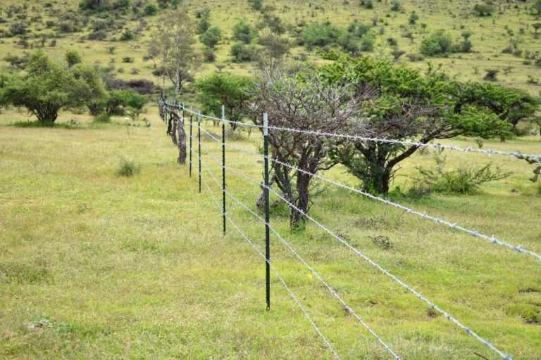 Lanzan Programa para Cerco Perimetral en Aguascalientes