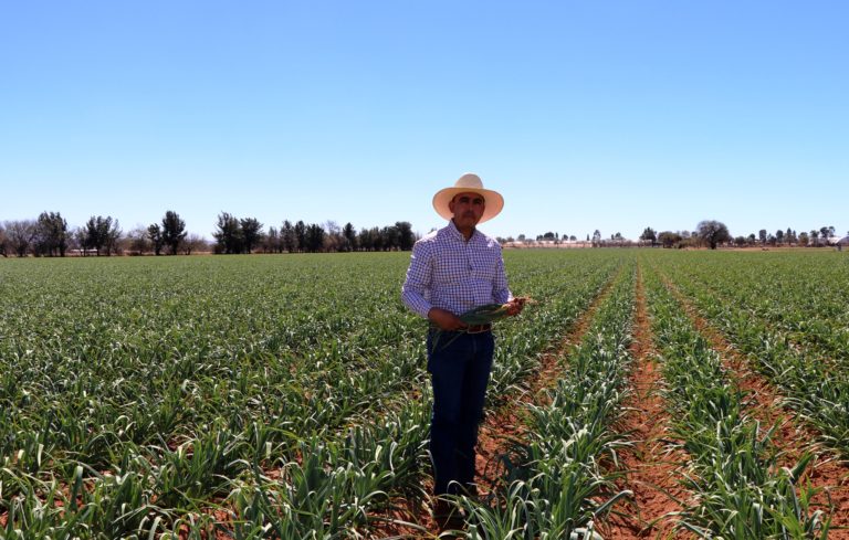 Celebran Día del Agrónomo como reconocimiento a su labor en Aguascalientes