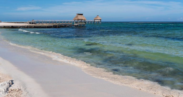 Fundador de Vidanta desmiente que AMLO le haya concesionado una playa para sus servicios hoteleros