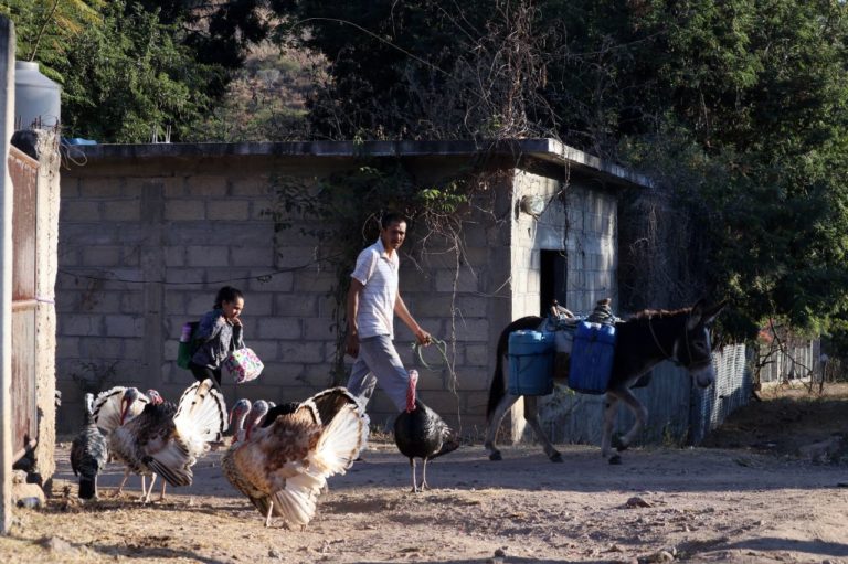 32% de los hogares en México tiene inseguridad de agua