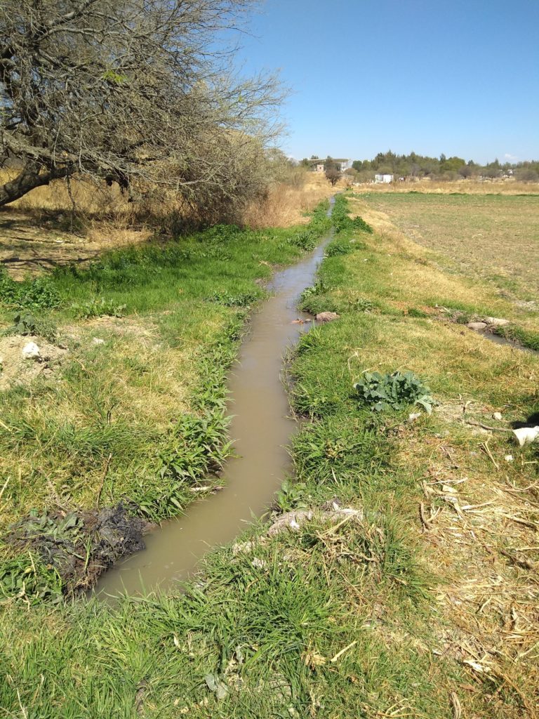 Refuerza Proespa e Inagua acciones coordinadas de vigilancia en materia de agua 