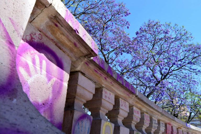 El acto de observar, así llega la primavera en Aguascalientes