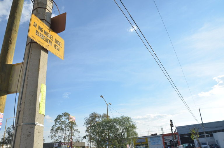 Moverían árboles para la obra del puente en Barberena Vega