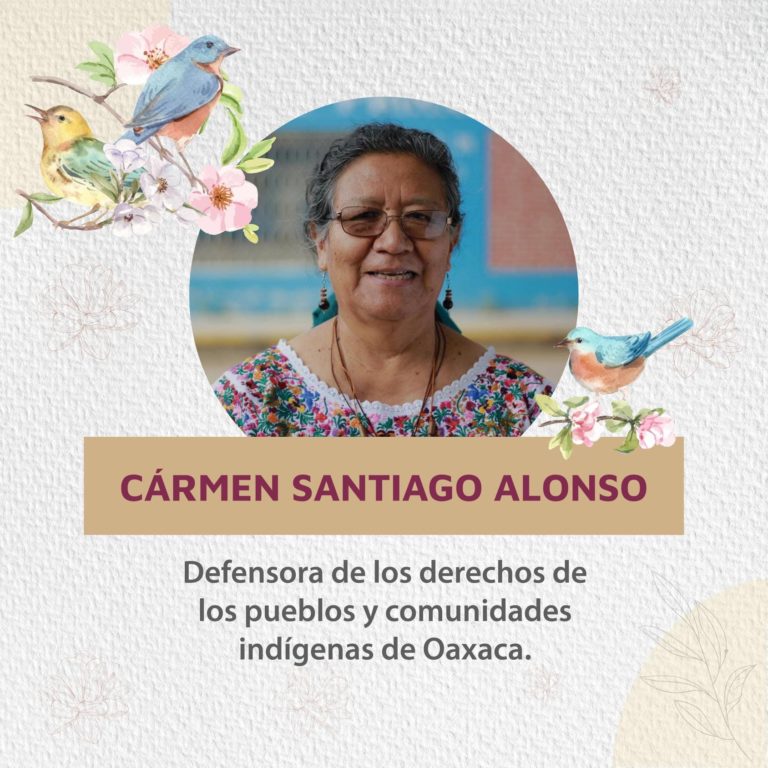 Carmen Santiago: Agua, el legado de una férrea defensora indígena