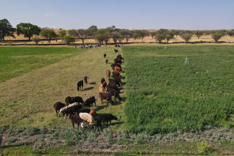 Sedrae apoya a productores en la capacitación en ganadería regenerativa