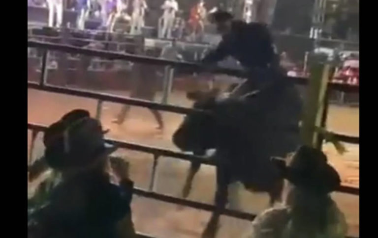 Toro derriba valla y embiste a asistentes a un jaripeo