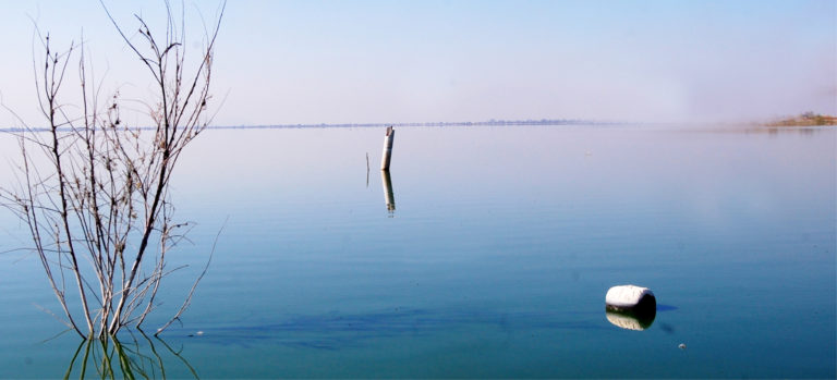 Lago de Texcoco es declarado Área Natural Protegida