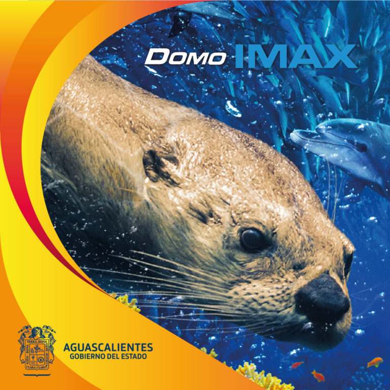 ¡Descubre un mundo de vida bajo las olas con la nueva película del domo IMAX!