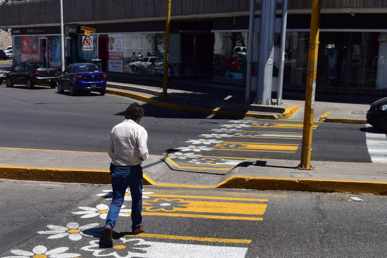 Aguascalientes de cerca vean el campo de flores
