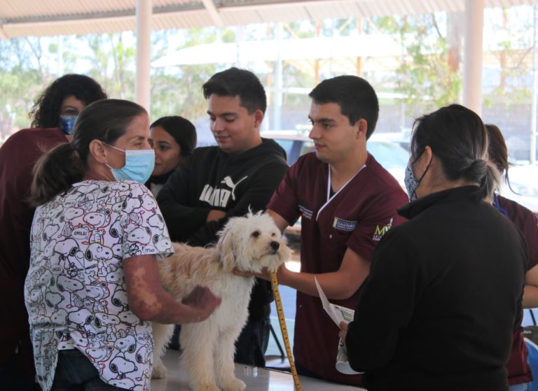 Impulsa Proespa el bienestar animal en Calvillo 