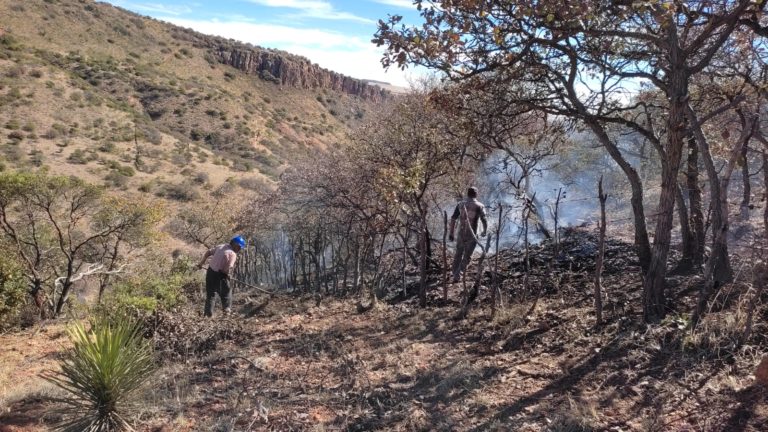 Sofocan con el apoyo del helicóptero incendio forestal que amenazaba la Sierra Fría 