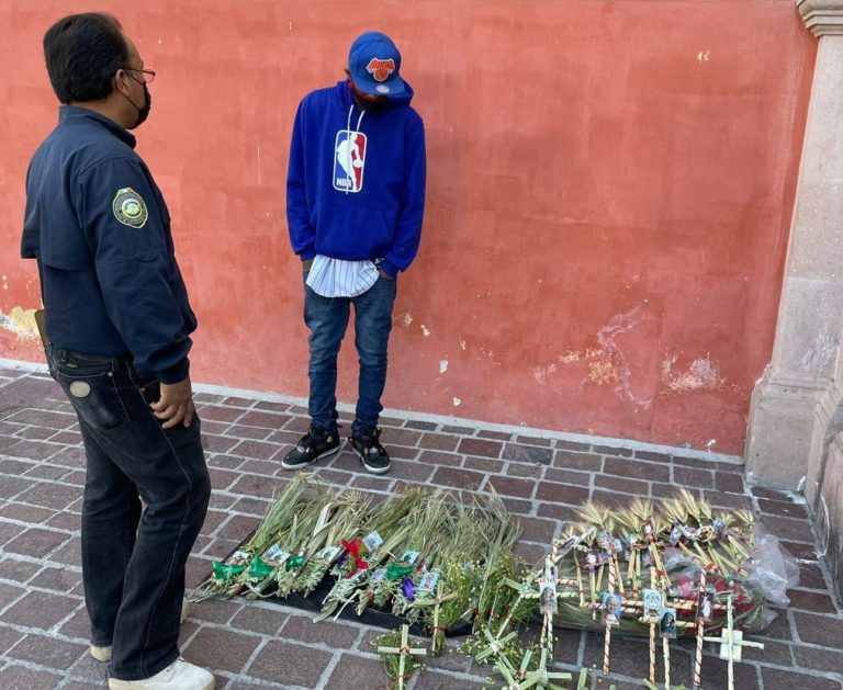 Decomisa Proespa 10 kilos de laurel silvestre 