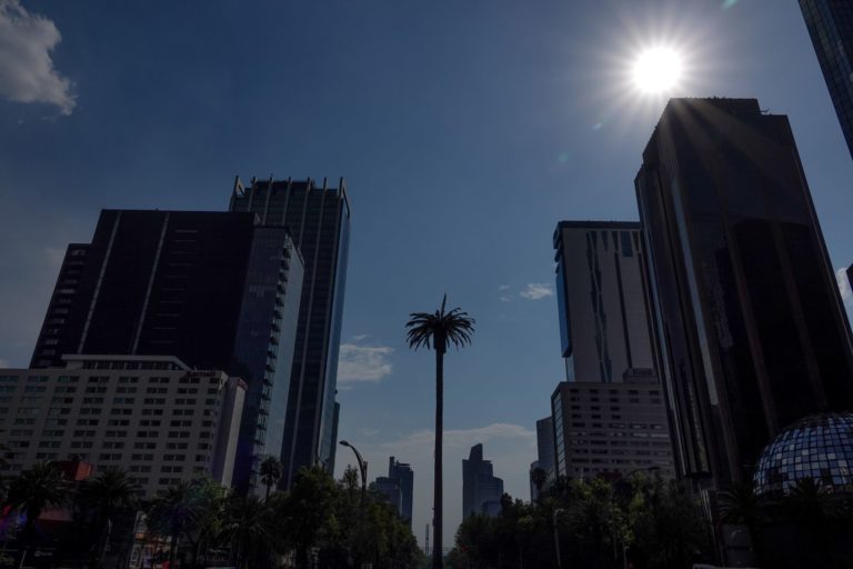 La palma, que identificó 100 años una de las glorietas de Reforma, será retirada con un “homenaje”