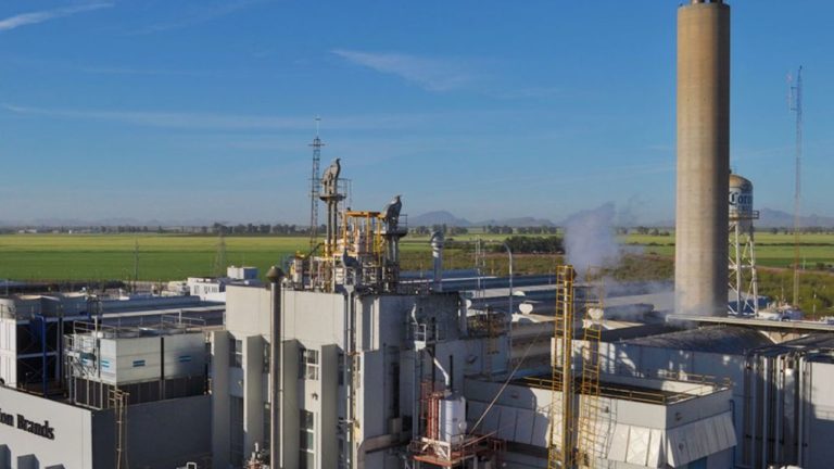 Tras ser echada de Mexicali, Constellation Brands instalará planta cervecera en Veracruz