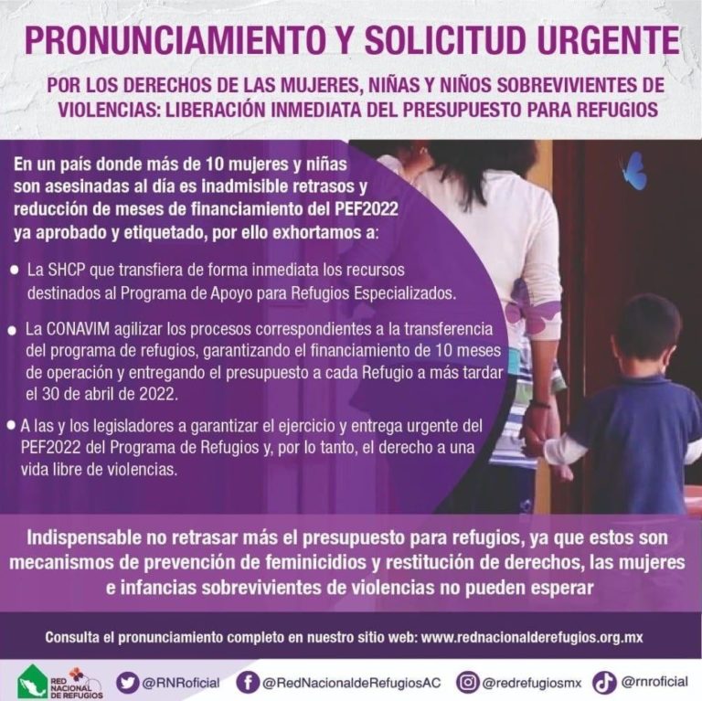 Pronunciamiento y solicitud urgente. Por los derechos de las mujeres, niñas y niños sobrevivientes de violencias: liberación inmediata del presupuesto para refugios