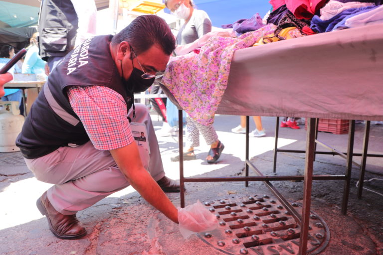 Guardia sanitaria realiza supervisión en el tianguis de La Purísima