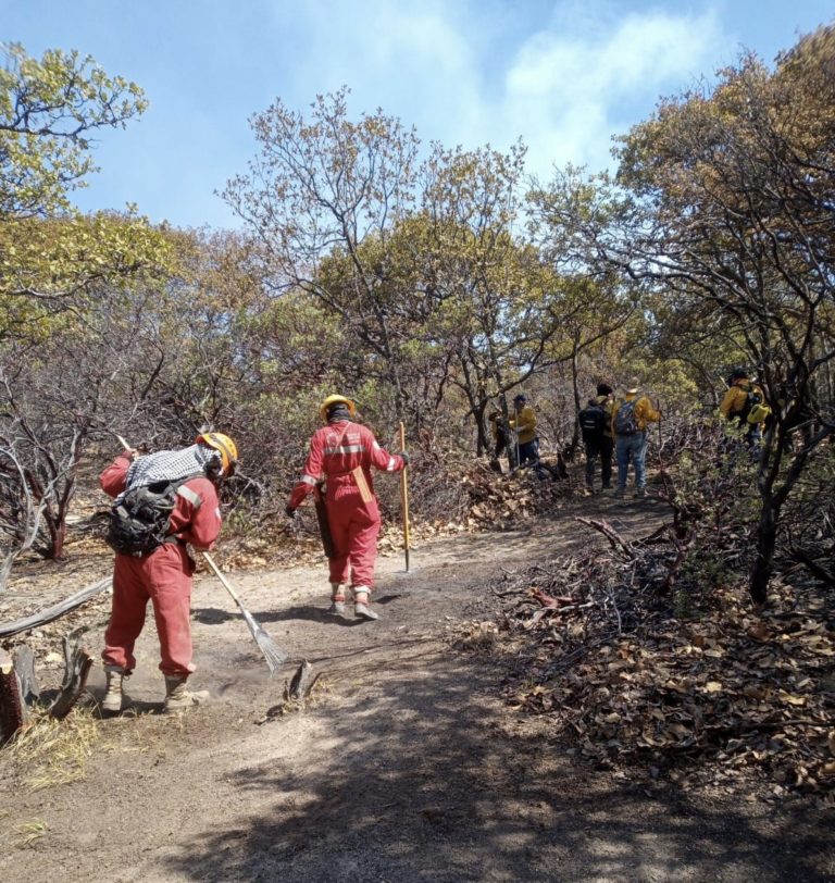 Sofocan incendio en la Sierra del Laurel