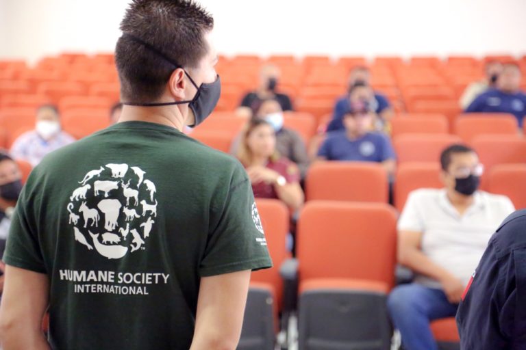 Brindan curso de rescate de animales ante contingencias