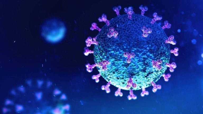Científicos descubren una forma de bloquear al coronavirus para erradicarlo