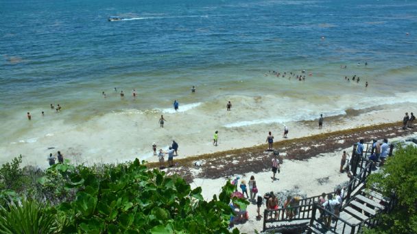 Investigación periodística documenta una red de corrupción y caos ecológico en Tulum