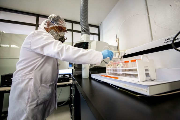 Avanza colaboración México-Dinamarca para fortalecer la inocuidad porcícola