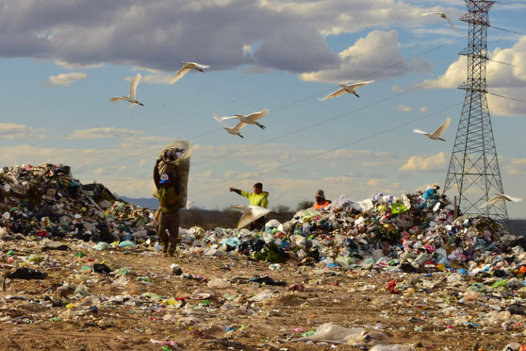 Estado también debe responsabilizarse sobre la separación de residuos