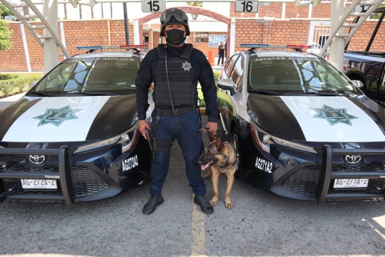 Recibe la SSPE radiopatrullas y equipo especializado para el Grupo k9 