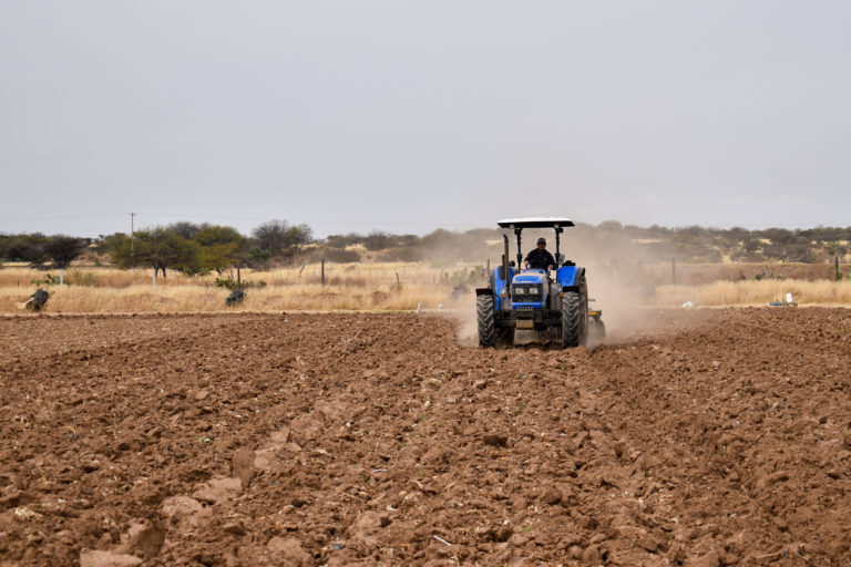 Más de 87 mil hectáreas en Aguascalientes se sembrarán este año