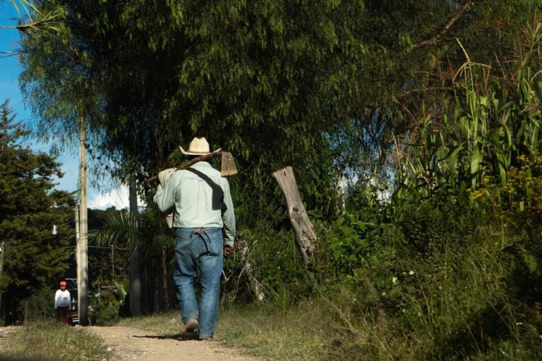 Campesinos pagan hasta 90 mil pesos de luz por falta de subsidio en Aguascalientes