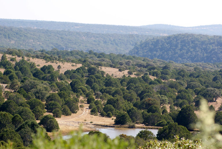 Descarta gobierno de Aguascalientes proyecto de construcción en la Sierra Fría