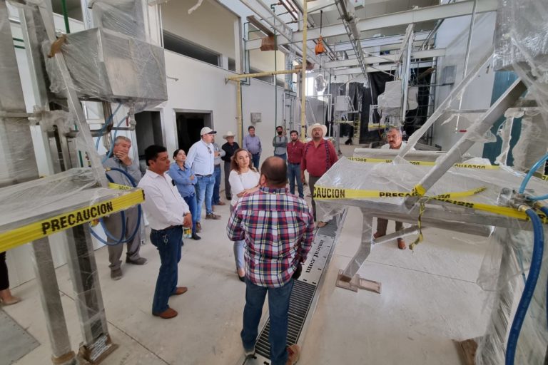 Sedrae y la Comisión de Desarrollo Agropecuario del congreso conocen avances del rastro para bovinos