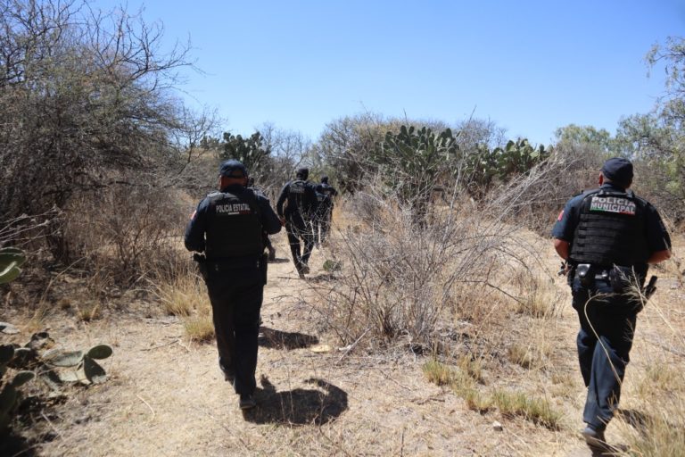 Más de 500 personas detenidas, armas, drogas y vehículos asegurados, resultado del operativo Escudo