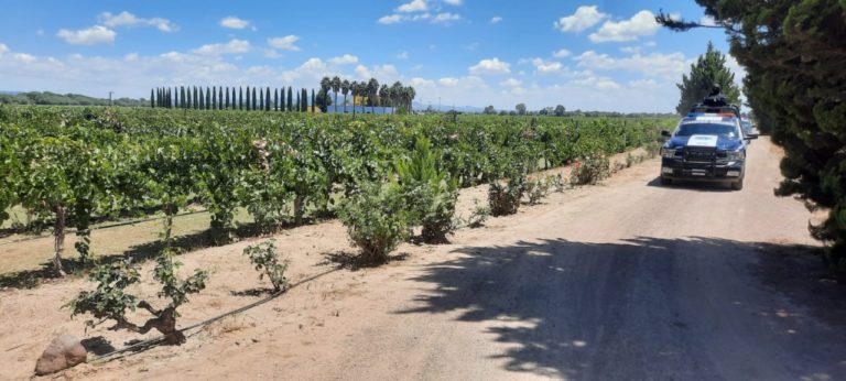 Listo operativo de seguridad para la Ruta del Vino Aguascalientes 2022