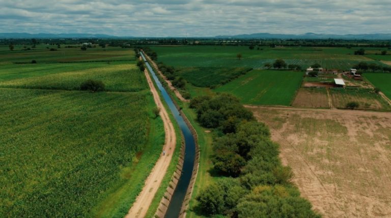 Avanza la siembra del ciclo otoño-invierno en Aguascalientes 
