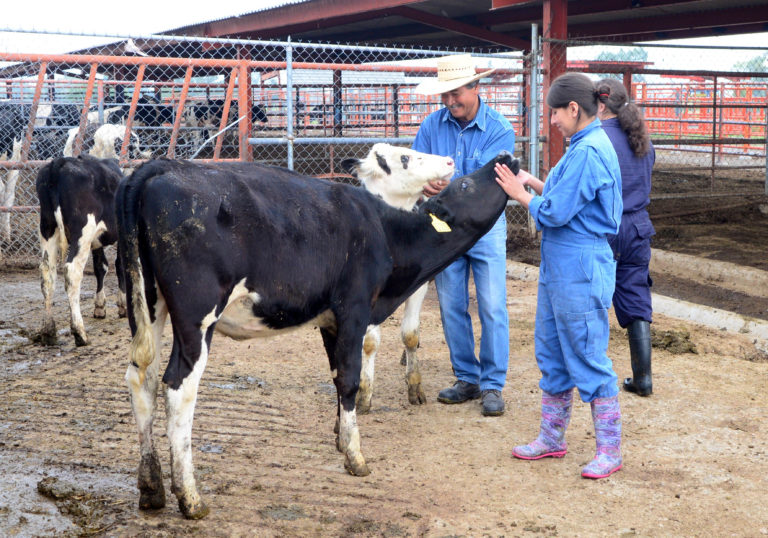 Promueven en la UNAM trato respetuoso y ético hacia los animales