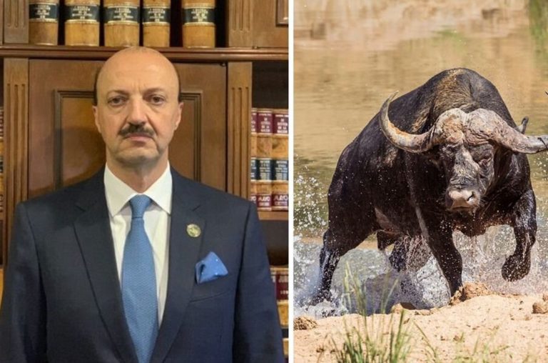 El cazador mexicano Mario Canales Najjar murió al ser atacado por un búfalo