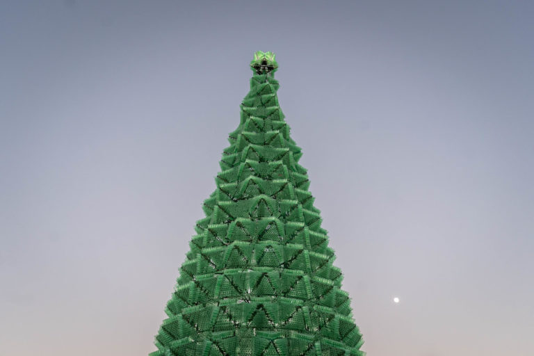 Patología decembrina