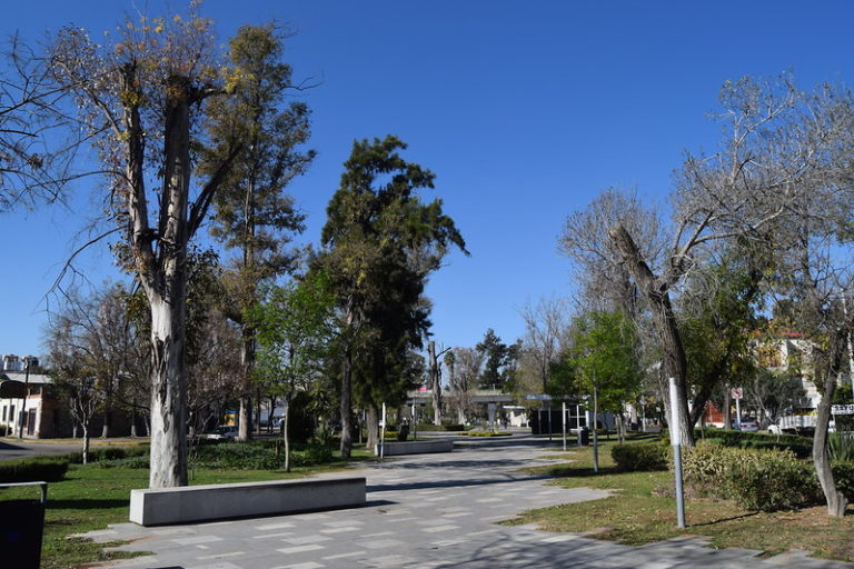 Sin posibilidad legal de arrendar o asignar en comodato módulos del Corredor Alameda en Aguascalientes 