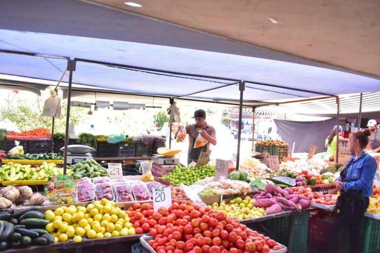 Realizan recorrido en el fraccionamiento Pilar Blanco de Aguascalientes